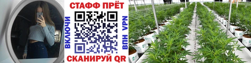 Купить наркотики Бакал mega как зайти  КОКАИН  ГАШИШ  МАРИХУАНА  АМФЕТАМИН 