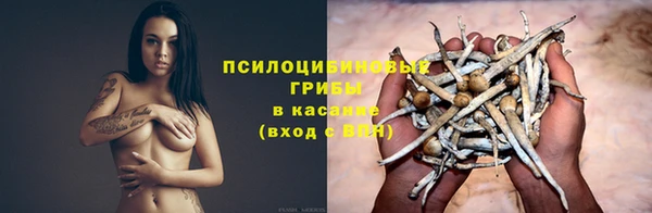 дмт Алексеевка